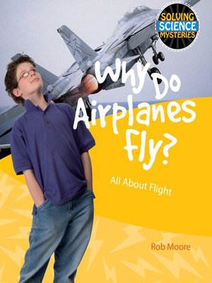 cover image of Why Do Airplanes Fly?